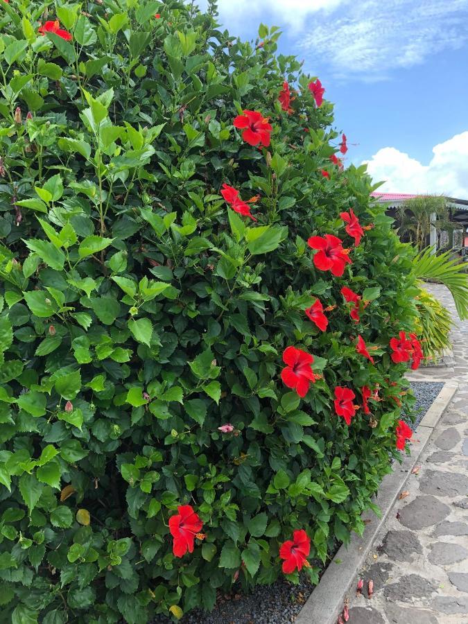 Lovely Apartment In Flic En Flac, Close To The Beach And All Amenities. Екстериор снимка